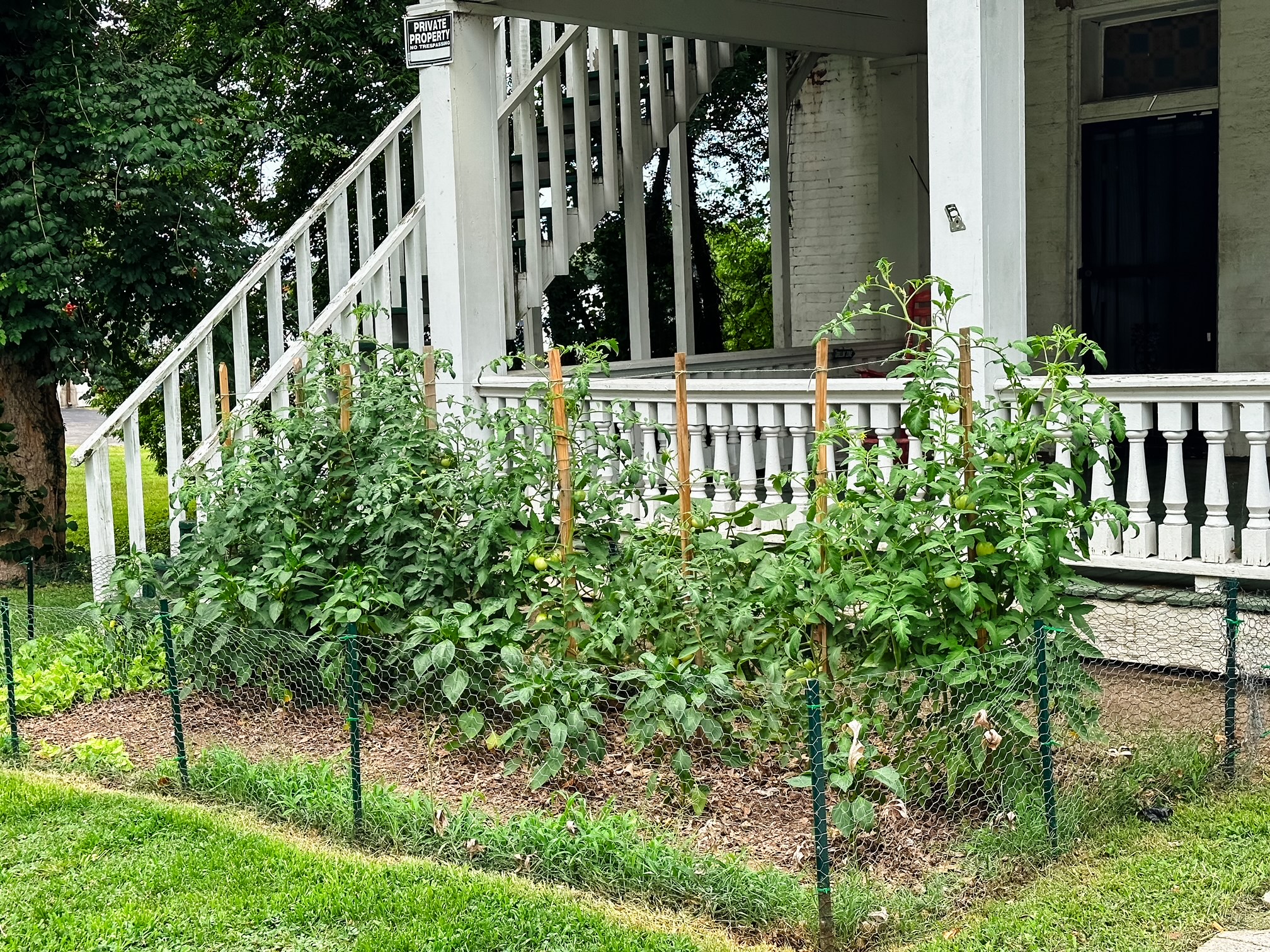The Little Garden in Front of the Shelter
