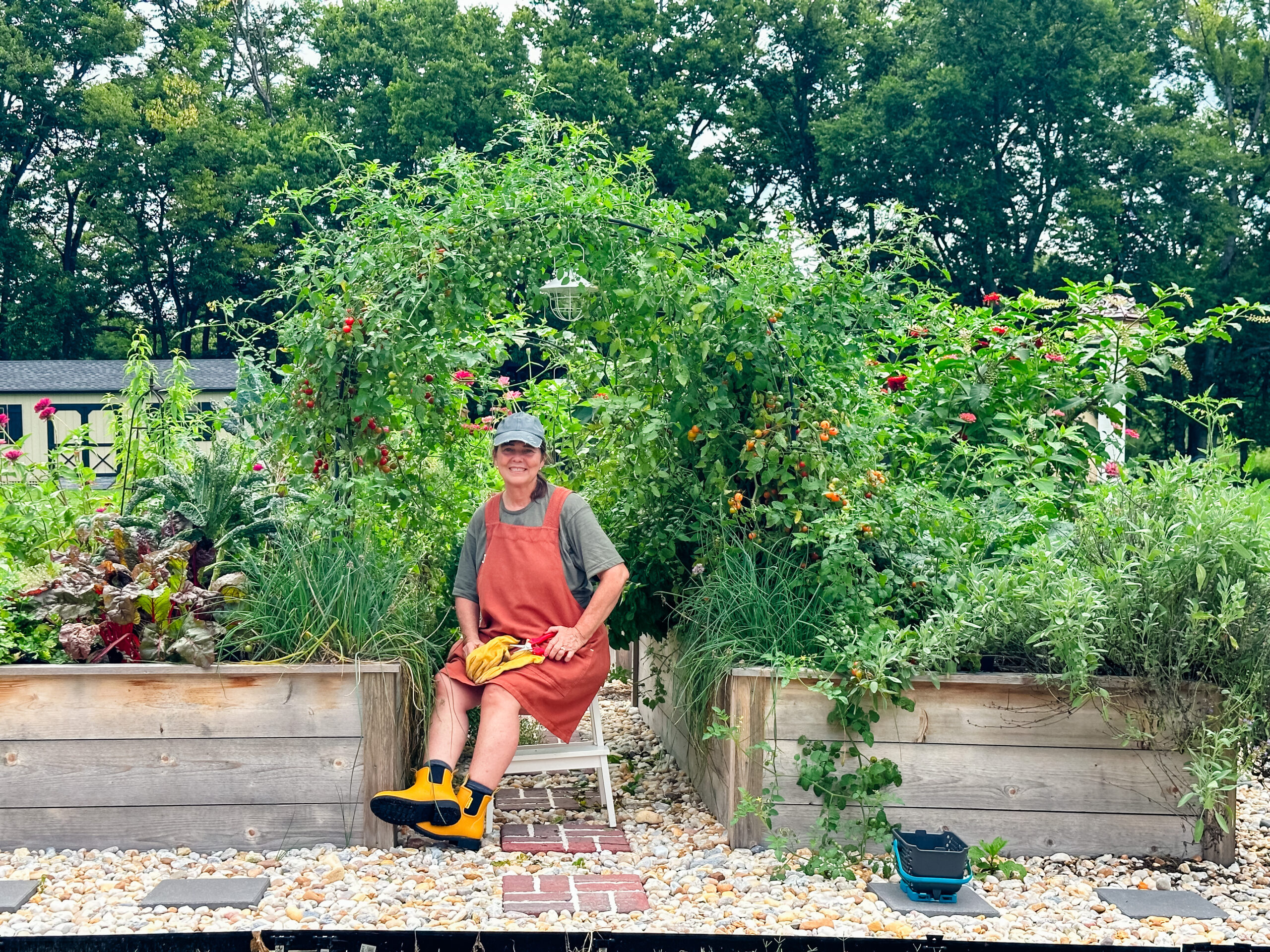 A Garden Teaches Us How to Live: The Quiet Wisdom of the Seven-Year Shemitah Cycle