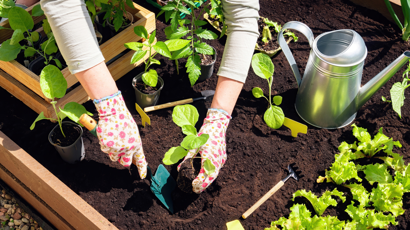 Spring: The Awakening of the Kitchen Garden