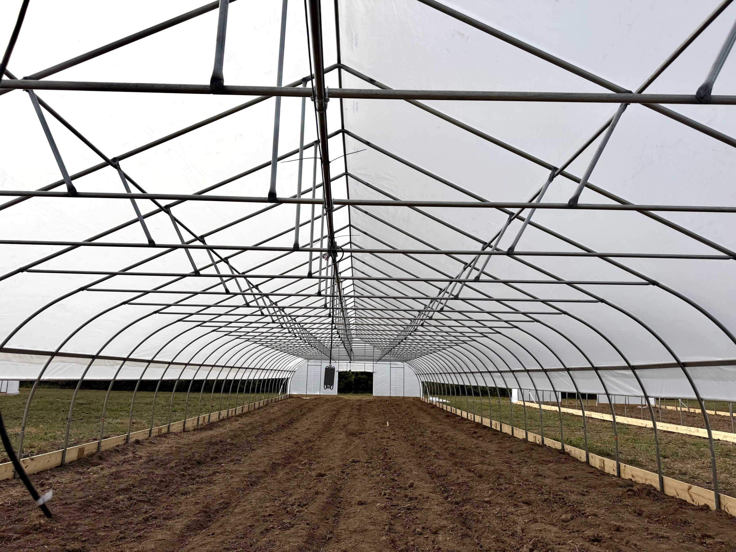 Plastic covers the arches above prepared soil inside a hoop house.