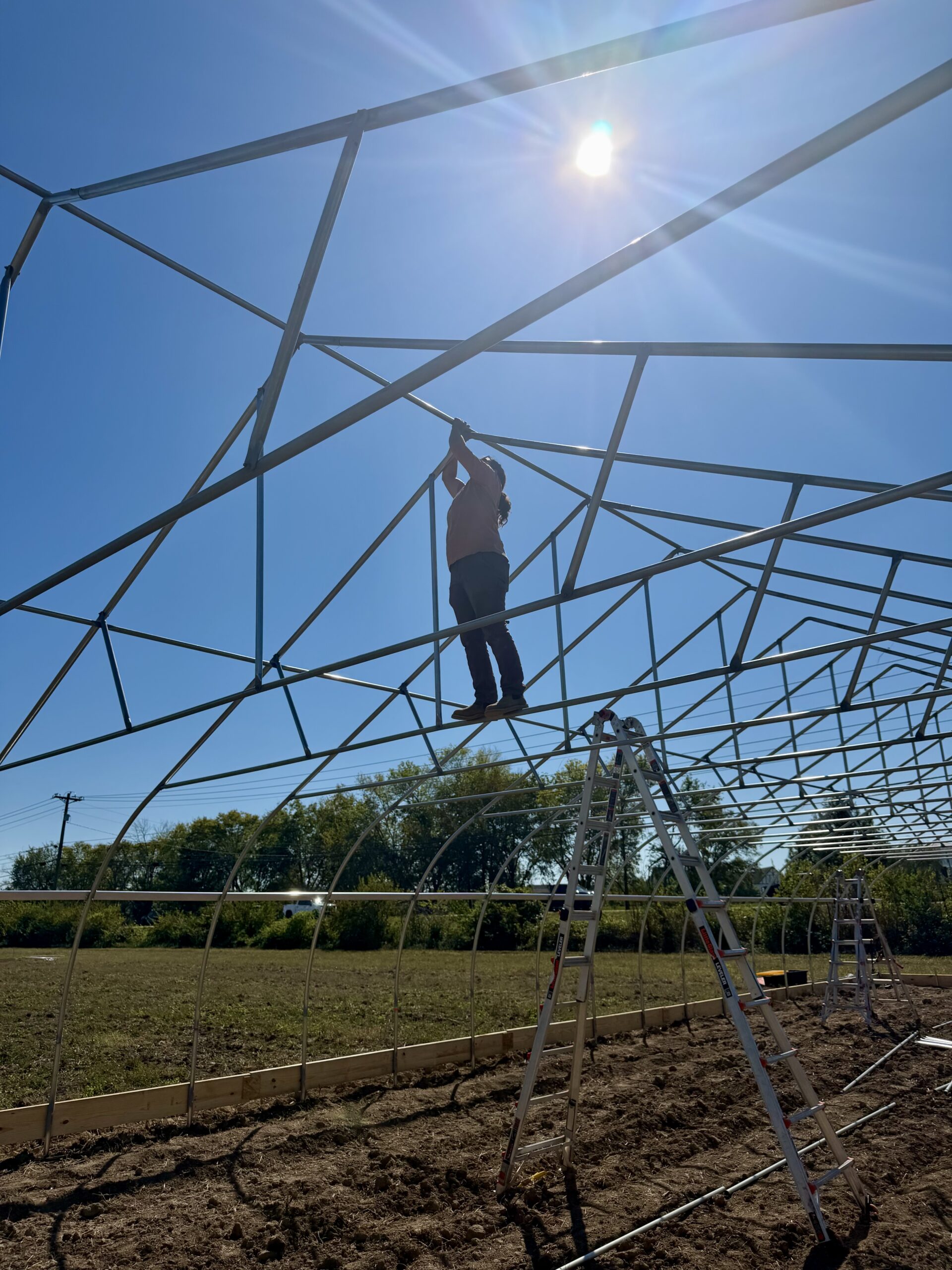 A worker reaches up to a hoop house roof connection beneath a bright sun.