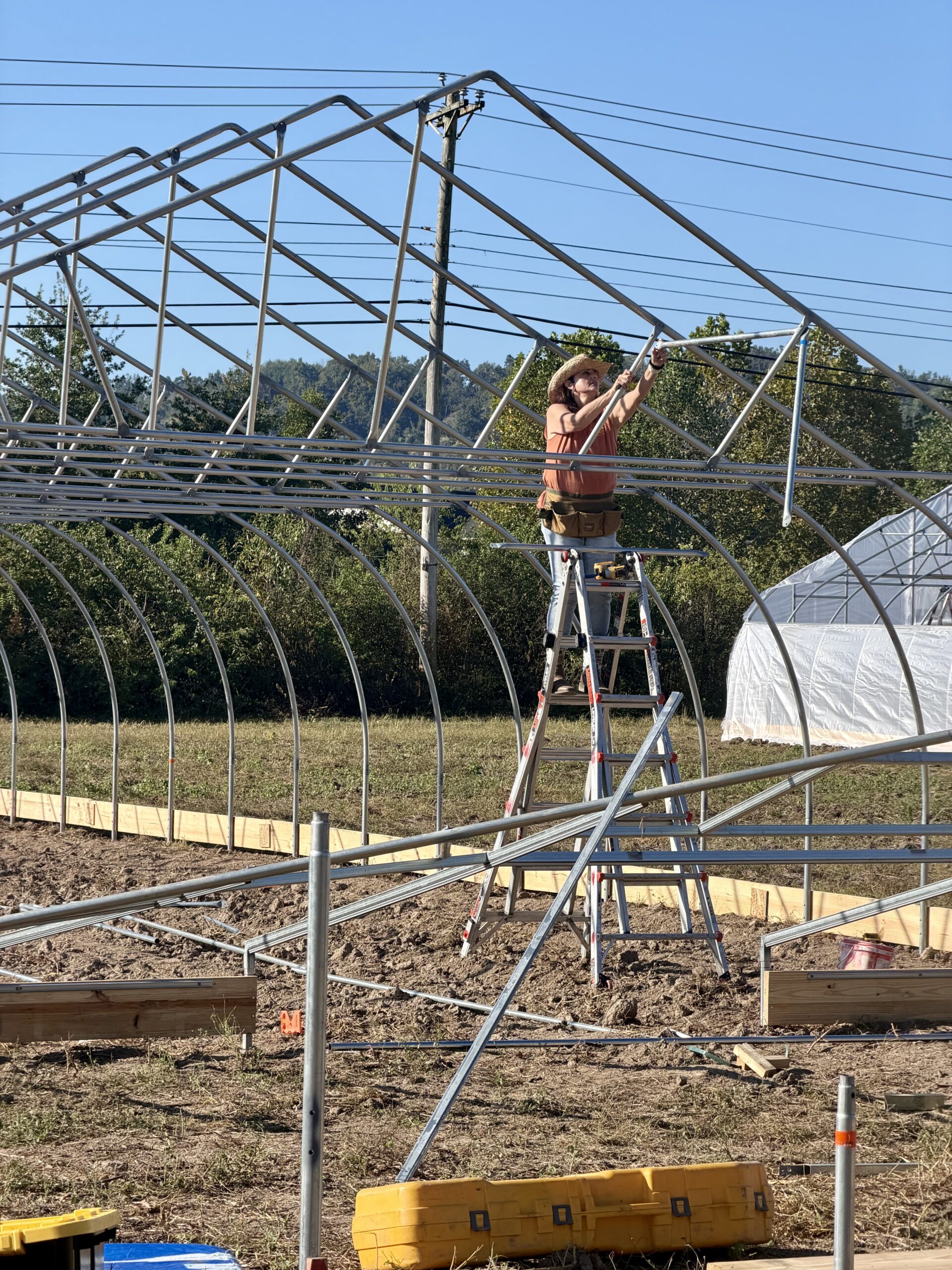 A worker on a ladder secures an overhead connection in a hoop house frame.